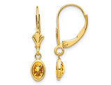 14K Yellow Gold Natural Citrine 4/5 Carat (ctw) Leverback Earrings